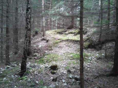 HALDIČKY NA KTERÝCH SE TAKÉ KOPE