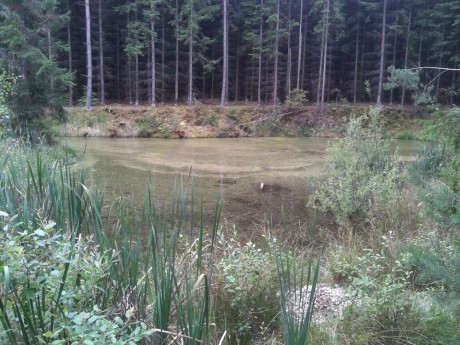 ZATOPENÝ LOM U ÚDRAŽSKÉHO OBRÁZKU